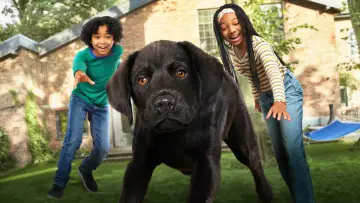Backdrop for the TV series "Puppy Place" #1430279