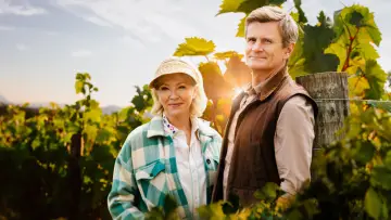 Backdrop for the TV series "Under the Vines" #1553737