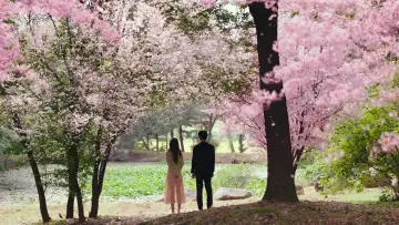 Backdrop for the TV series "See You in My 19th Life" #1457607
