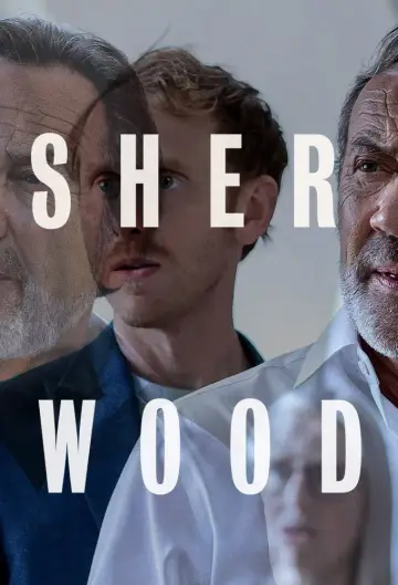 Poster for the TV series "Sherwood" #1502363