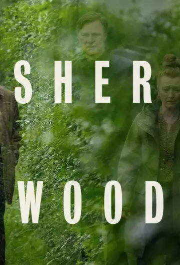 Poster for the TV series "Sherwood" #1502364
