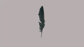 Backdrop for the TV series "Black Bird" #1383680