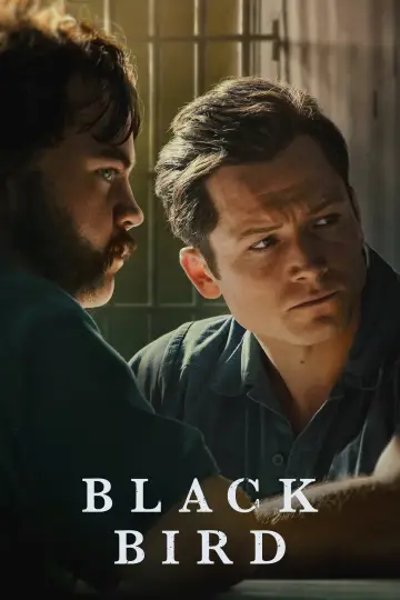 Poster for the TV series "Black Bird" #1383715