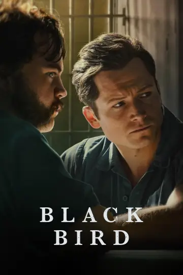 Poster for the TV series "Black Bird" #1383729