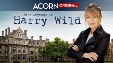 Backdrop for the TV series "Harry Wild" #1401847