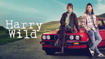 Backdrop for the TV series "Harry Wild" #1401851