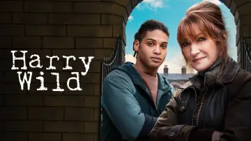 Backdrop for the TV series "Harry Wild" #1401852