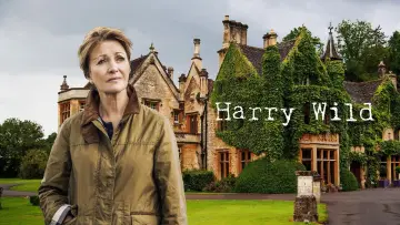 Backdrop for the TV series "Harry Wild" #1401853