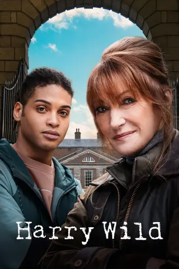 Poster for the TV series "Harry Wild" #1401863