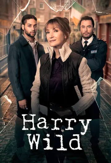 Poster for the TV series "Harry Wild" #1401866