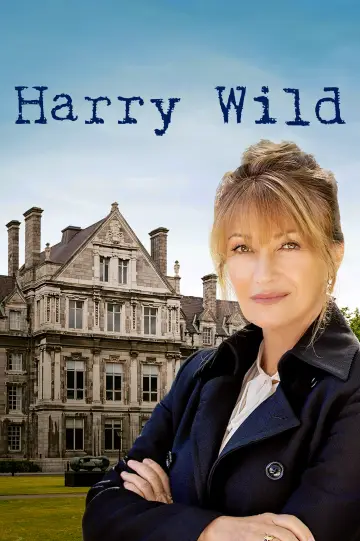 Poster for the TV series "Harry Wild" #1401867