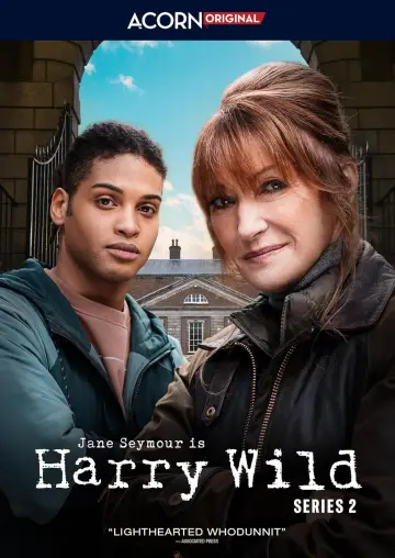 Poster for the TV series "Harry Wild" #1401877