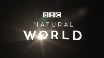Backdrop for the TV series "Natural World" #1315939