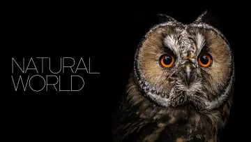 Backdrop for the TV series "Natural World" #1315941
