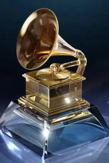 Poster for the TV series "The Grammys" #1503059