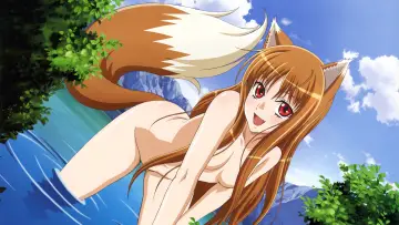 Backdrop к сериалу "Spice and Wolf" #1506268