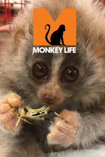 Poster for the TV series "Monkey Life" #1542381