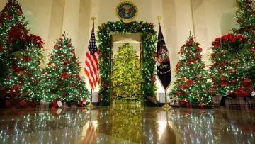 Backdrop for the TV series "White House Christmas" #1558718