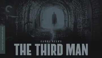 Backdrop for the TV series "The Third Man" #1599309