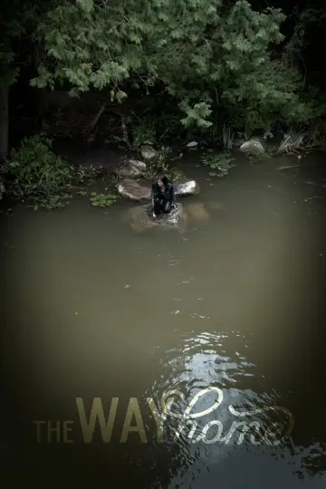 Poster for the TV series "The Way Home" #1431572