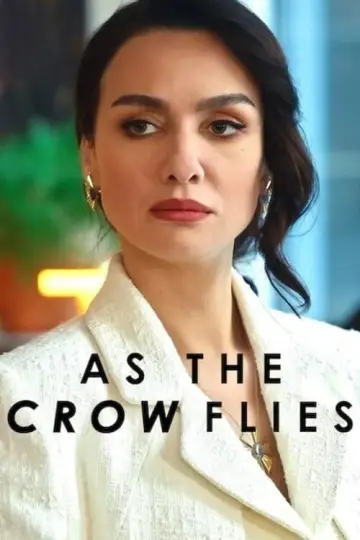 Poster for the TV series "As the Crow Flies" #1424284