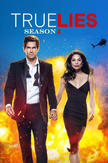 Poster for the TV series "True Lies" #1403788