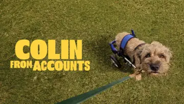 Backdrop for the TV series "Colin from Accounts" #1225205