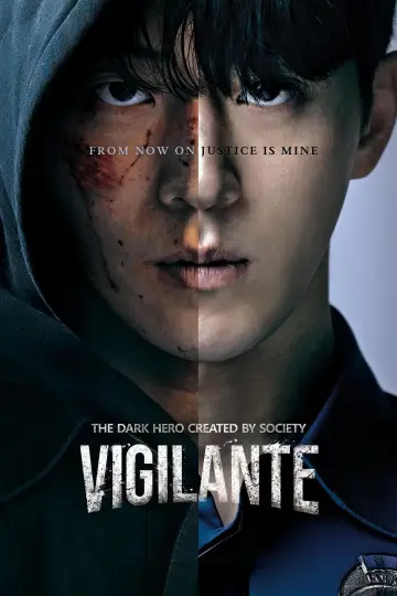 Poster for the TV series "Vigilante" #1413110