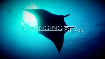 Backdrop for the TV series "Changing Seas" #1398008