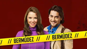 Backdrop for the TV series "Bermúdez" #1450552