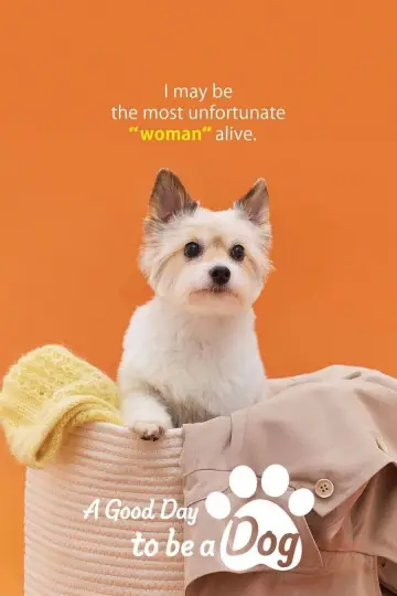 Poster for the TV series "A Good Day to be a Dog" #1663981