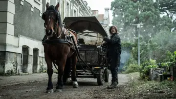 Backdrop for the TV series "The Walking Dead: Daryl Dixon" #1325512