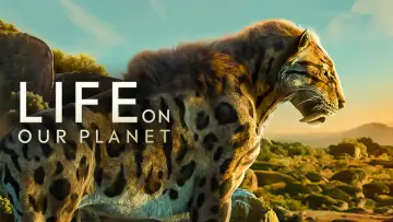 Backdrop for the TV series "Life on Our Planet" #1446535