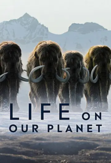 Poster for the TV series "Life on Our Planet" #1446547