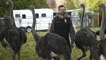 Backdrop for the TV series "Animal Control" #1357905