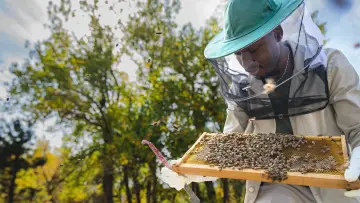 Backdrop for the TV series "Secrets of the Bees" #1481076
