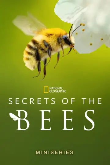 Poster for the TV series "Secrets of the Bees" #1481086