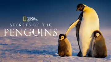Backdrop for the TV series "Secrets of the Penguins" #1502012
