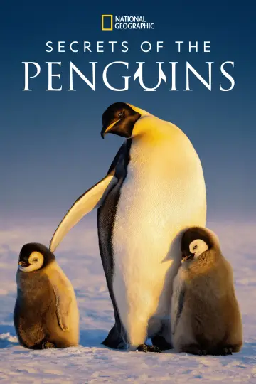 Poster for the TV series "Secrets of the Penguins" #1502032