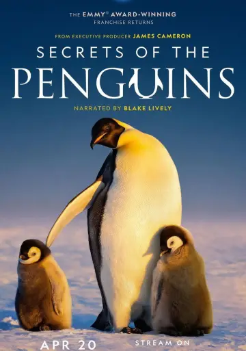 Poster for the TV series "Secrets of the Penguins" #1502034