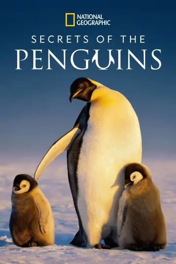 Poster for the TV series "Secrets of the Penguins" #1502037