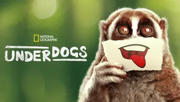 Backdrop for the TV series "Underdogs" #1603628