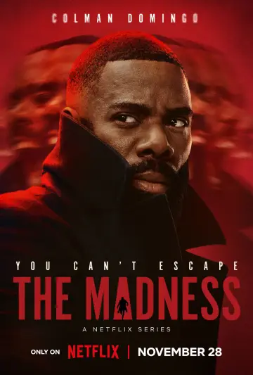 Poster for the TV series "The Madness" #1452600