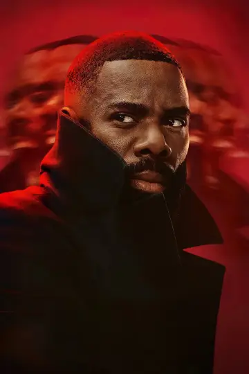 Poster for the TV series "The Madness" #1452602