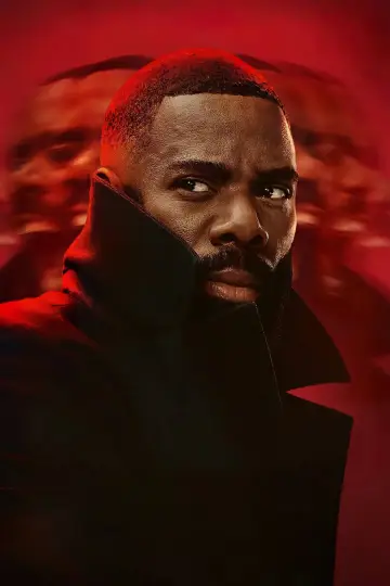 Poster for the TV series "The Madness" #1452605