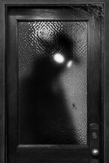 Poster for the TV series "Spider-Noir" #1290884