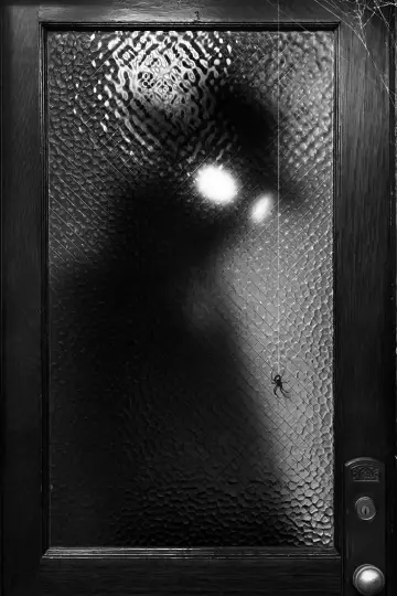 Poster for the TV series "Spider-Noir" #1290887