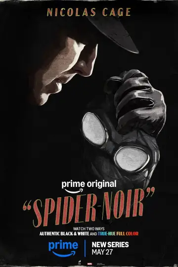Poster for the TV series "Spider-Noir" #1290923