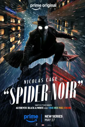 Poster for the TV series "Spider-Noir" #1290924