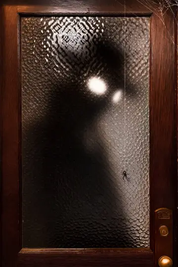Poster for the TV series "Spider-Noir" #1290951
